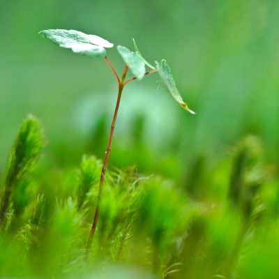 Photo by Austin D on Unsplash